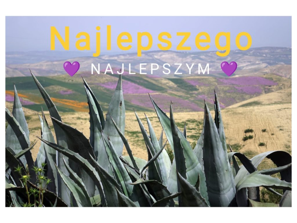 Życzenia z okazji Dnia Edukacji Narodowej